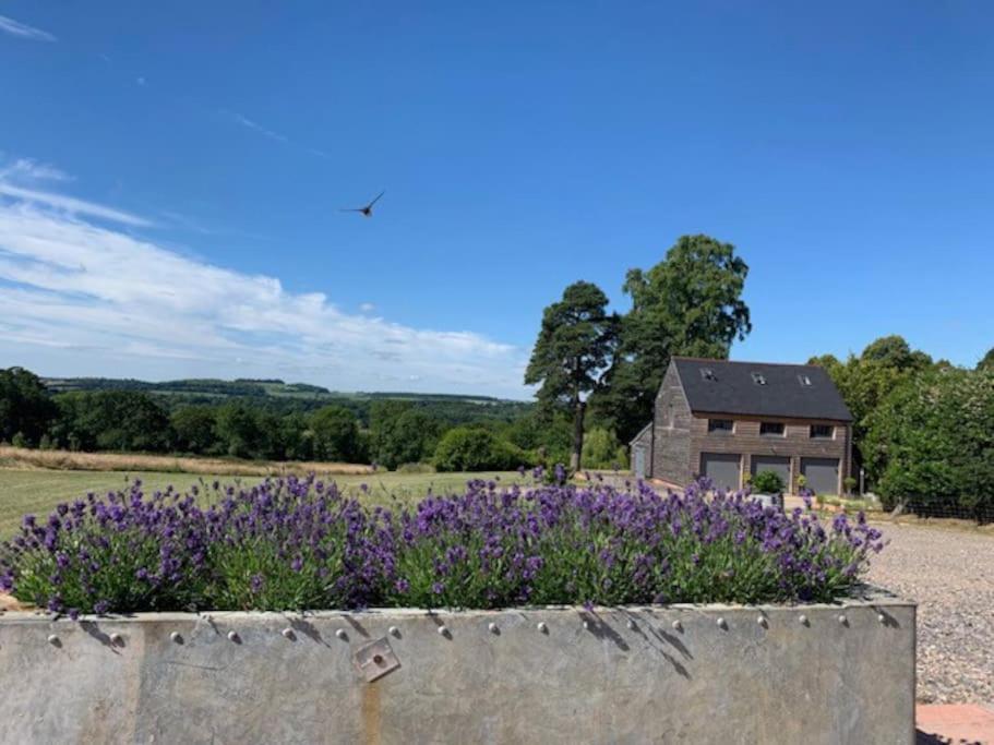The Coach House Apartment Alderbury Exterior photo